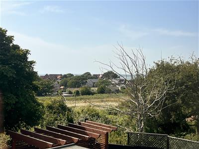 Picture 15